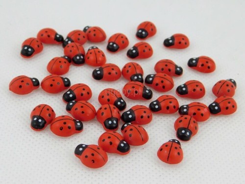 Biedronka samoprzylepna